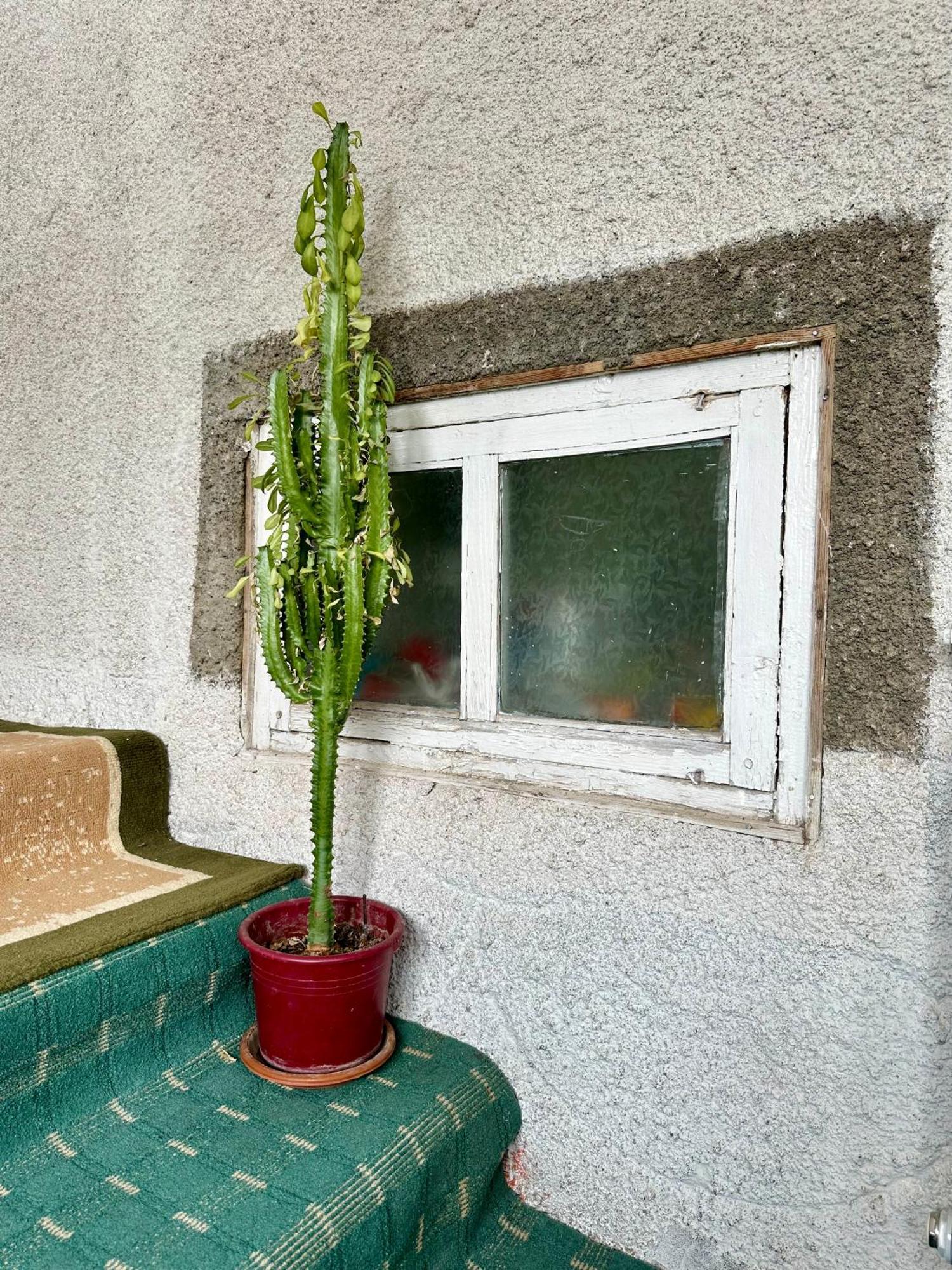 Kayyr Guest House Orgochor Exterior foto
